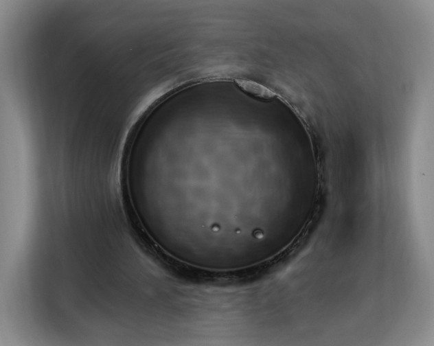 X0000112840196200908281558