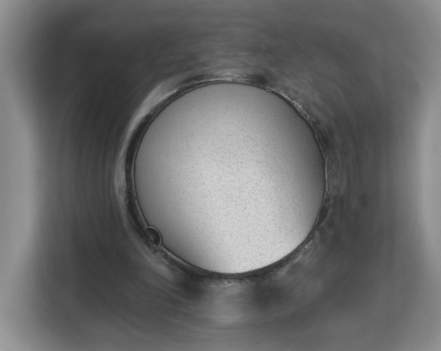 X0000112840198200908281558