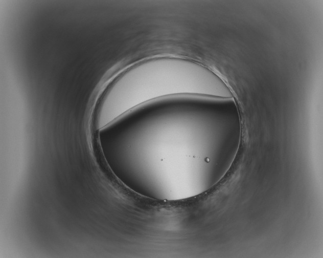 X0000112840199200908281558