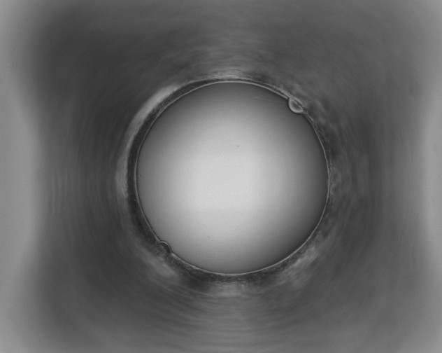 X0000112840200200908281558