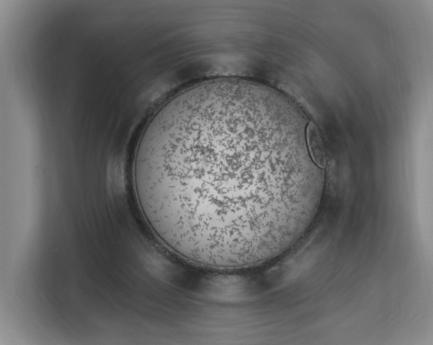 X0000112840203200908281558