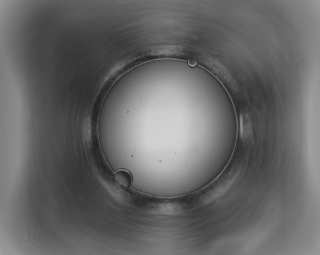 X0000112840204200908281558