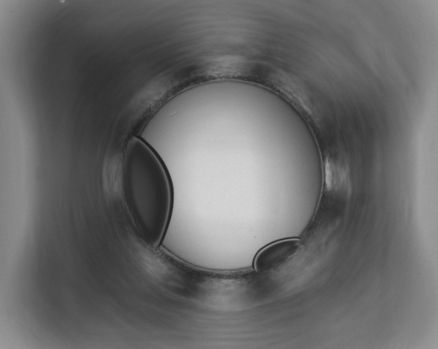 X0000112840205200908281558