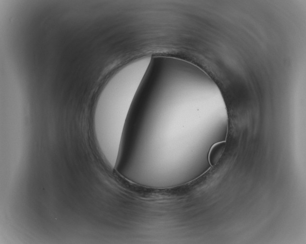 X0000112840207200908281558