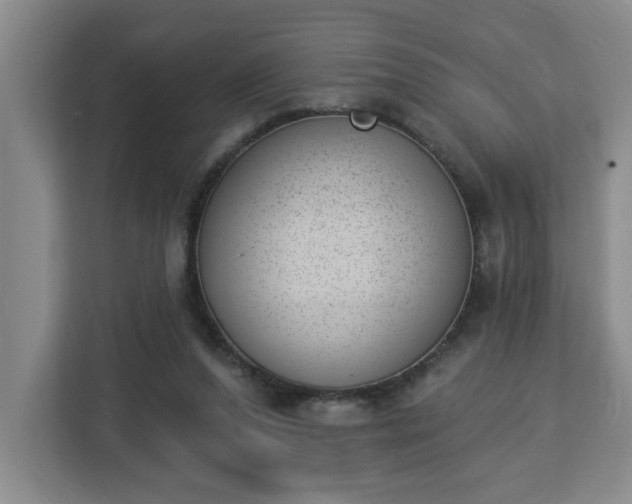 X0000112840208200908281558