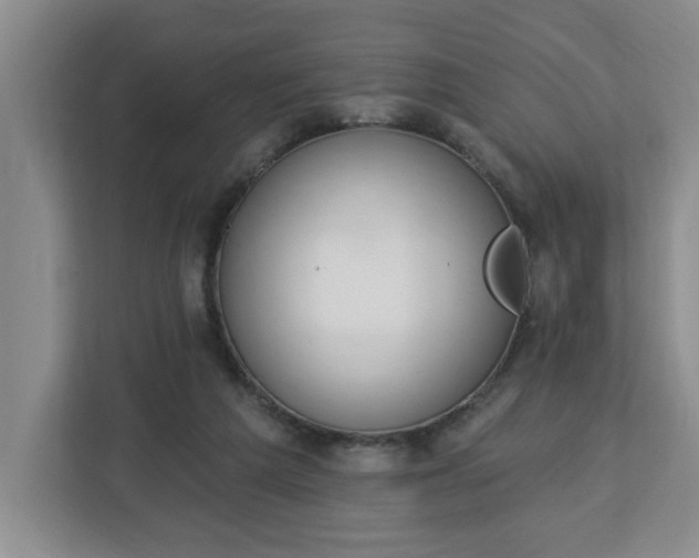 X0000112840209200908281558