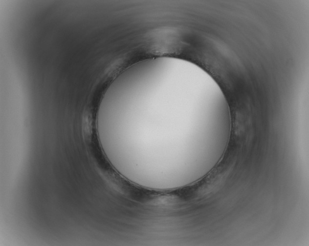 X0000112840210200908281558