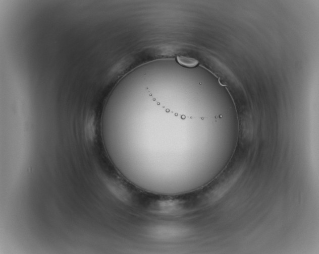 X0000112840216200908281558