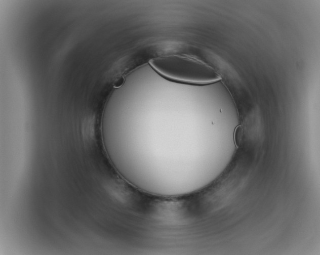 X0000112840217200908281558