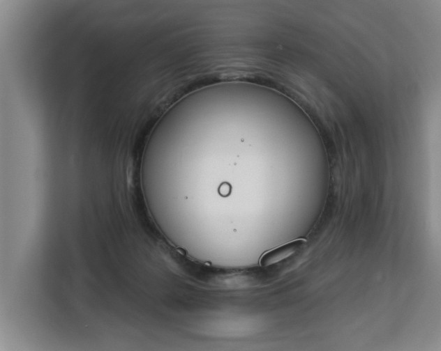 X0000112840219200908281558