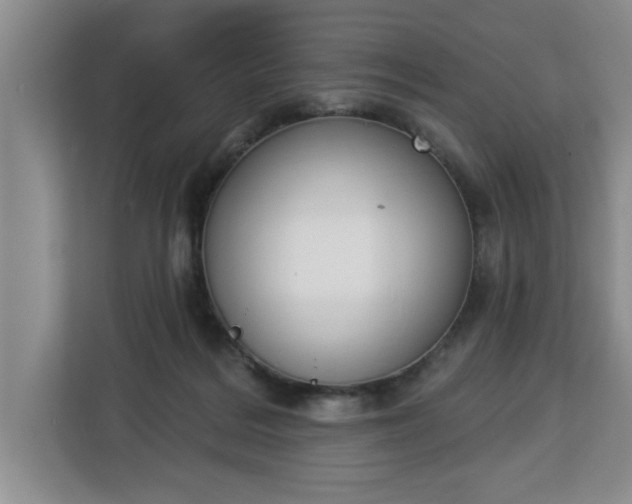 X0000112840220200908281558