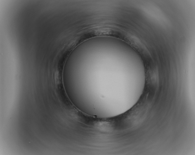 X0000112840224200908281558