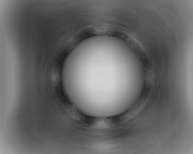 X0000112840226200908281558