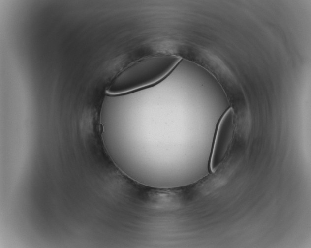 X0000112840229200908281558