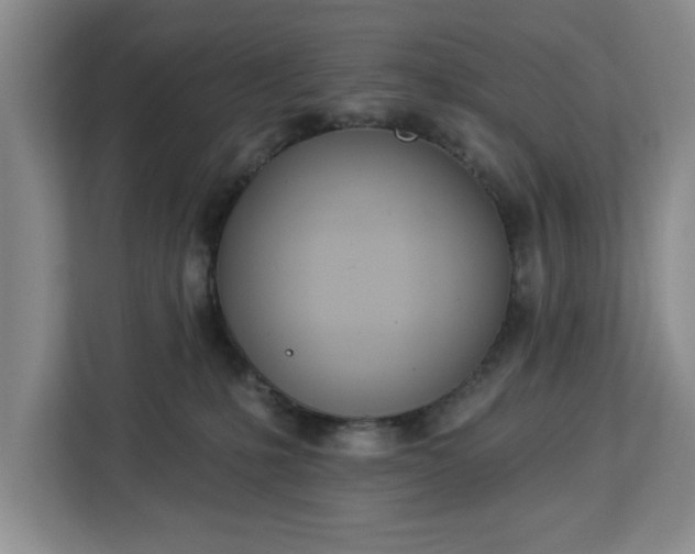 X0000112840231200908281558