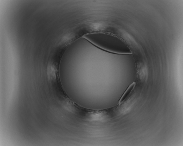 X0000112840235200908281558