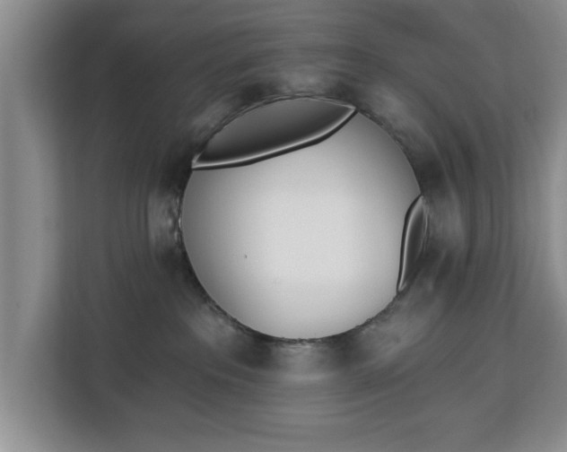 X0000112840237200908281558