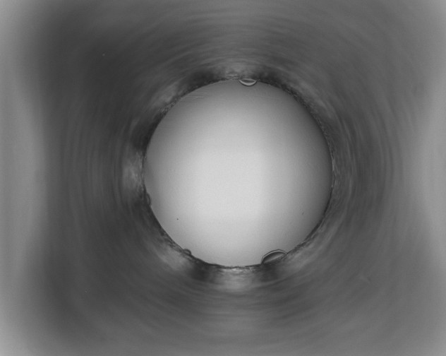 X0000112840240200908281558