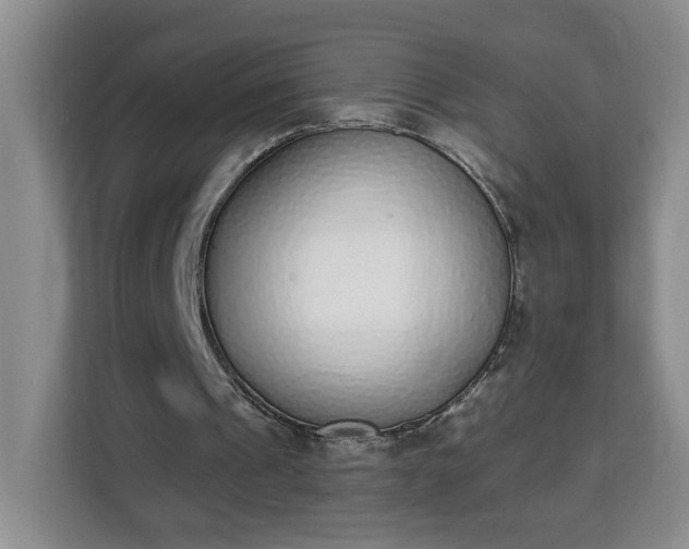 X0000112840241200908281557