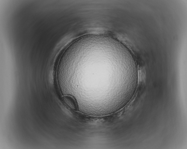 X0000112840243200908281557