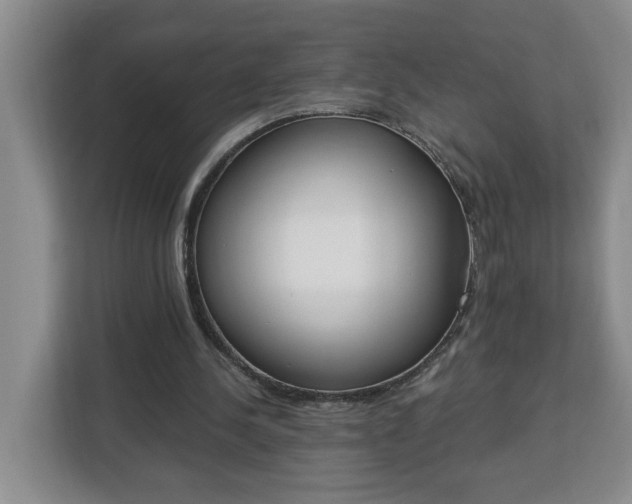 X0000112840244200908281557