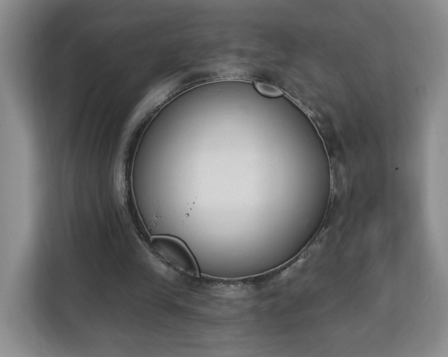 X0000112840245200908281557