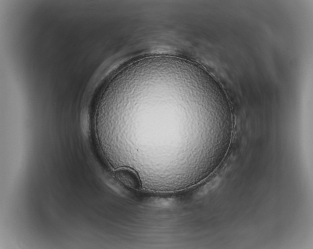 X0000112840247200908281557