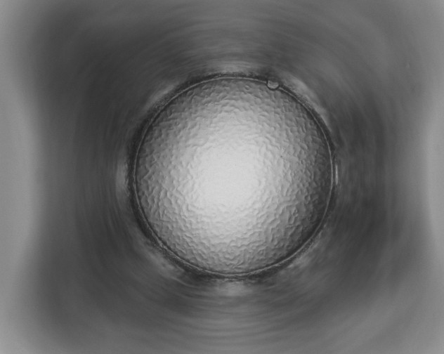 X0000112840249200908281557