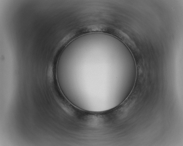 X0000112840250200908281557