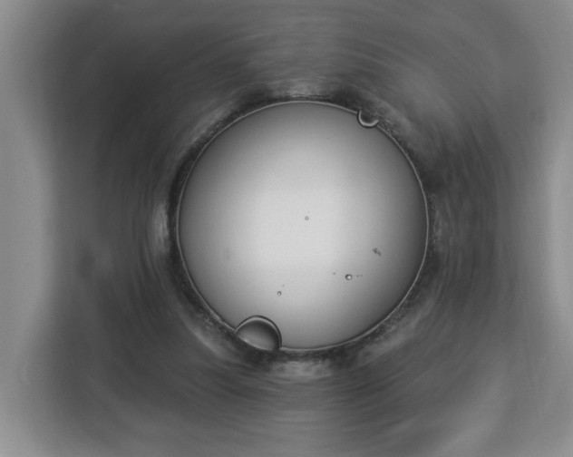 X0000112840251200908281557