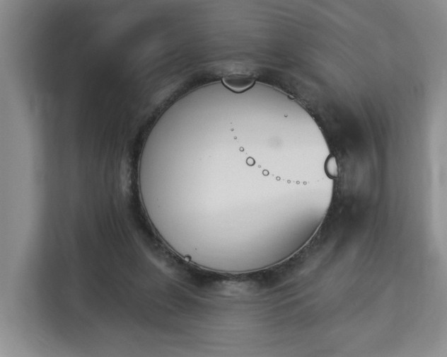 X0000112840255200908281557