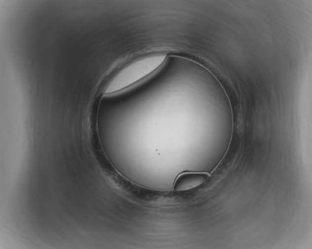 X0000112840256200908281557