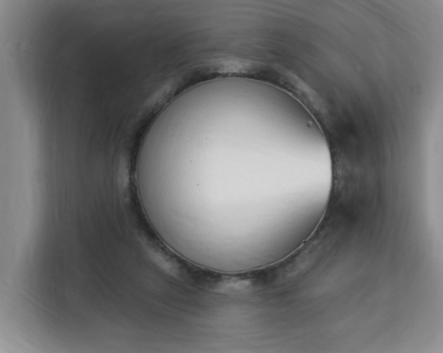 X0000112840257200908281557