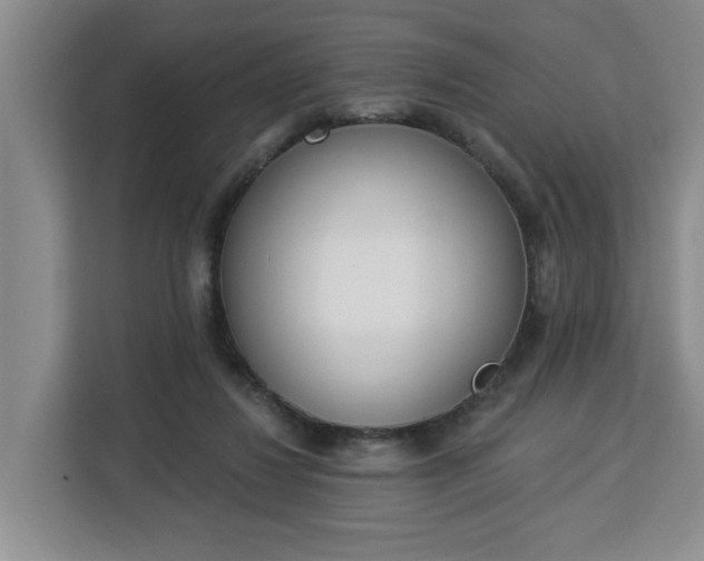 X0000112840260200908281557