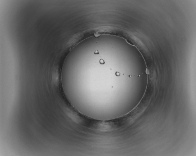 X0000112840261200908281557