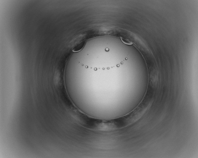 X0000112840270200908281558