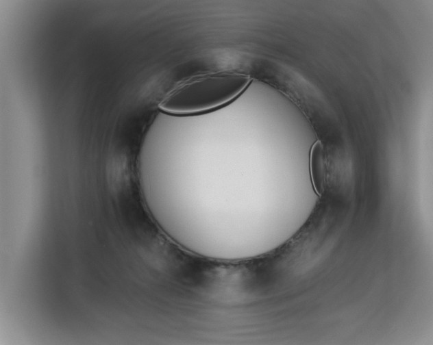 X0000112840272200908281558