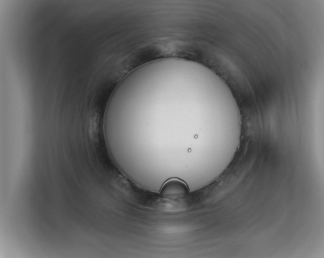 X0000112840275200908281558