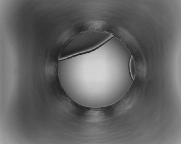 X0000112840280200908281558