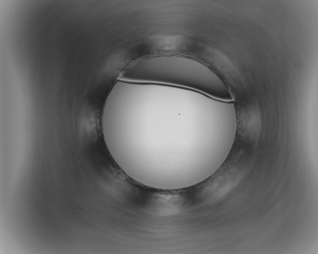 X0000112840284200908281558