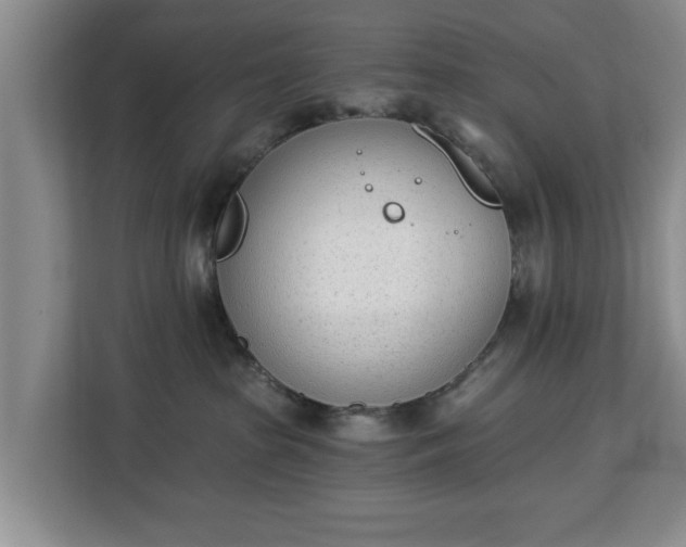 X0000112840285200908281558