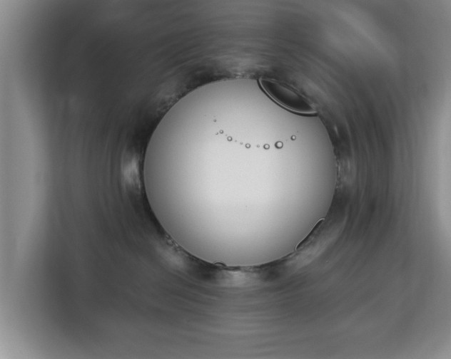 X0000112840286200908281558