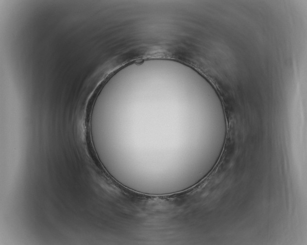 X0000112840290200908281557