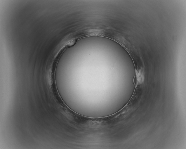 X0000112840291200908281557