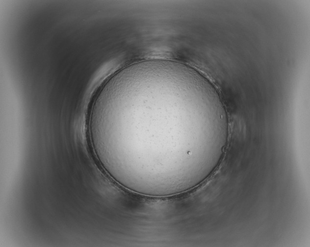 X0000112840293200908281557