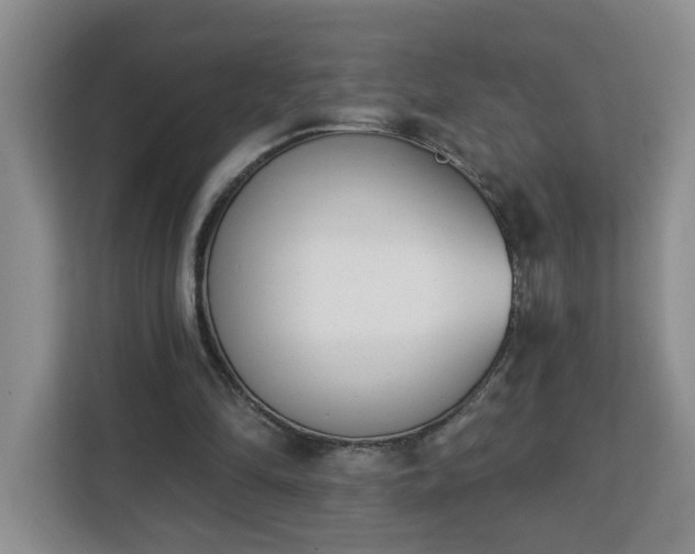 X0000112840294200908281557