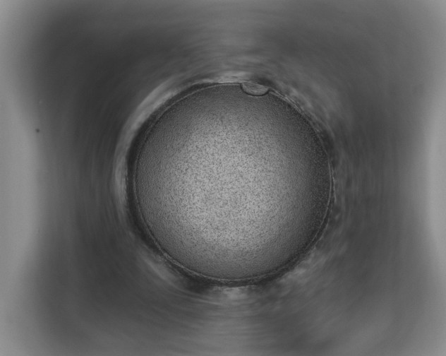 X0000112840295200908281557