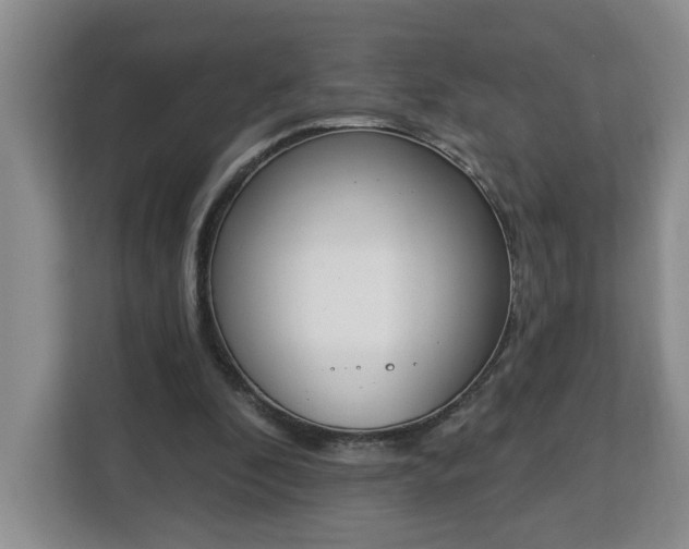 X0000112840296200908281557