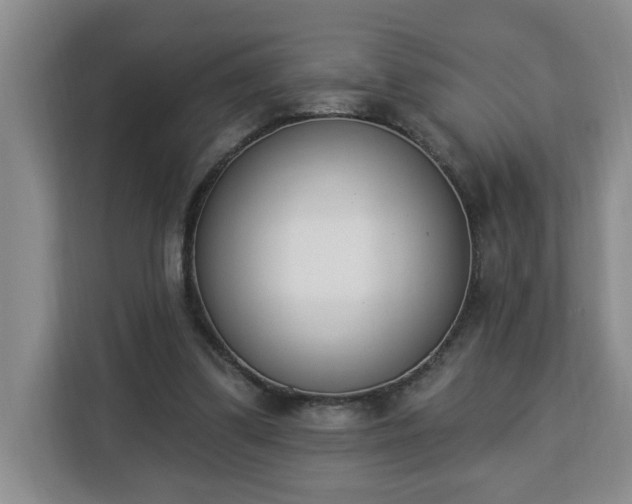 X0000112840299200908281557