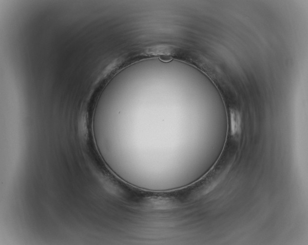 X0000112840300200908281557